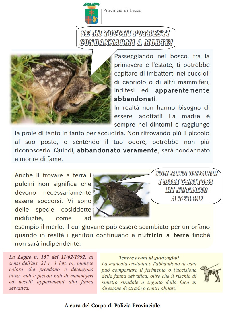 Acquisisci schermata Web 5 7 2023 105340 www.provincia.lecco.it