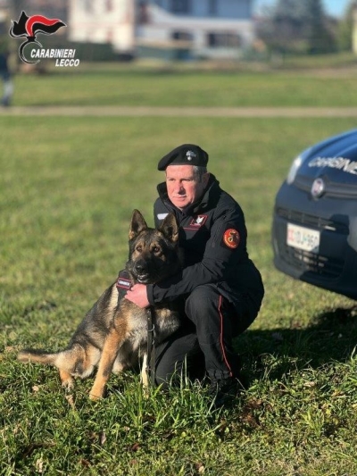 VA IN PENSIONE “OCSI” IL CANE DELL&#039;UNITÀ CINOFILA DEI CARABINIERI DI CASATENOVO