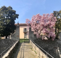 500mila euro dal PNRR per la Biblioteca Civica di Lecco