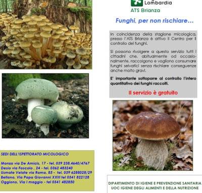 ALL&#039;ATS CONTROLLO GRATUITO DEI FUNGHI RACCOLTI