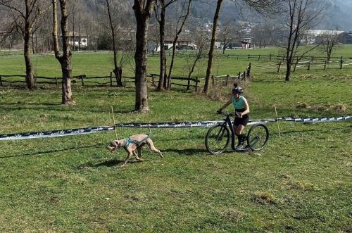 ITALIANO CANICROSS: UN BEL FINE SETTIMANA ALLE TROTE BLU