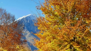 PRIMA NEVE IN GRIGNA