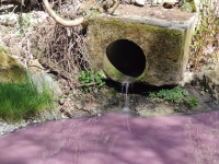 LIQUIDO ROSA INQUINA LA PIOVERNA A INTROBIO. CARABINIERI FORESTALI AL LAVORO PER INDENTIFICARE I COLPEVOLI