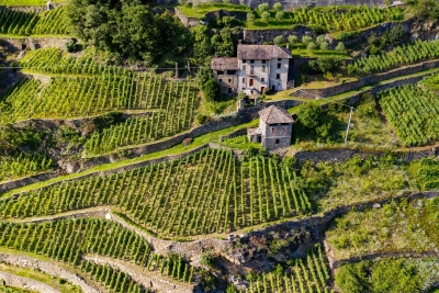 DALLA REGIONE 17,5 MILIONI PER INDENNITA&#039; COMPENSATIVE ALL&#039;AGRICOLTURA DI MONTAGNA