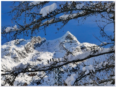 OGGI E&#039; LA GIORNATA INTERNAZIONALE DELLA MONTAGNA