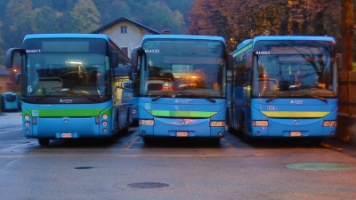 ALTA VALSASSINA - COLICO: SI PENSA AL COLLEGAMENTO BUS UTILE PER FREQUENTARE IL NUOVO INDIRIZZO AGRARIO AL MARCO POLO DI COLICO