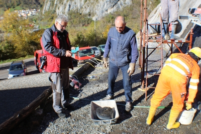 INTROBIO CAPITALE DELLA PALEONTOLOGIA