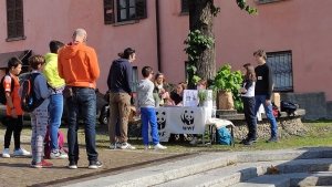 RICONOSCERE GLI ALBERI CON IL WWF