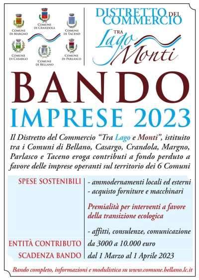 DISTRETTO COMMERCIO &quot;TRA LAGO E MONTI&quot;: PUBBLICATO IL BANDO PER OTTENERE CONTRIBUTI