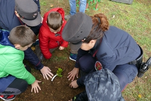 FESTA DEGLI ALBERI CON I CARABINIERI