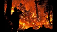 PERICOLO INCENDI BOSCHIVI: ALLERTA ARANCIONE DELLA PROTEZIONE CIVILE