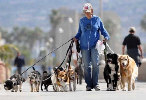 QUANDO USCITE TENETE IL CANE AL GUINZAGLIO !