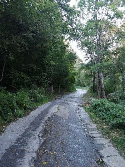 INCIDENTE SULLA STRADA DI BIANDINO: CERCASI CICLISTA INVESTITORE