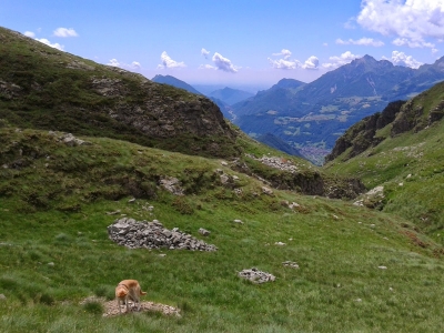 STRADA PIANCA - DAGGIO: APPALTATI I LAVORI