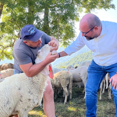 BLUETONGUE, ZAMPERINI (FDI): REGIONE LOMBARDIA APPROVA IL PIANO DI VACCINAZIONE OBBLIGATORIA