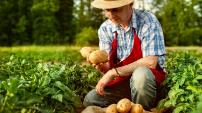 SVILUPPARE L`AGRICOLTURA ITALIANA