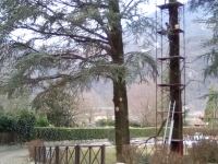 INIZIATO IL TAGLIO DEGLI ALBERI AL PARCO CADEMARTORI