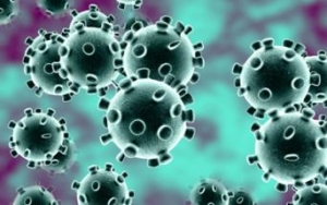 IL CORONAVIRUS RIALZA LA TESTA?