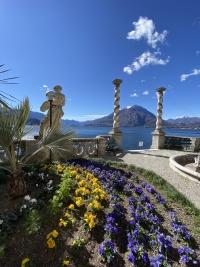 &quot;CAMELIE SUL LARIO&quot; NEL WEEKEND A VILLA MONASTERO